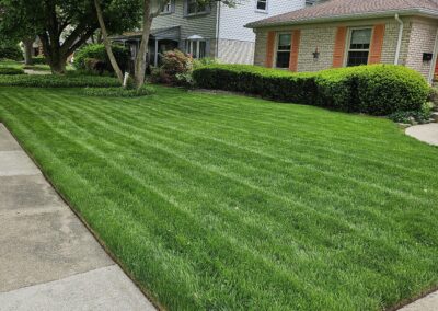 Weekly mowing — St. Clair Shores