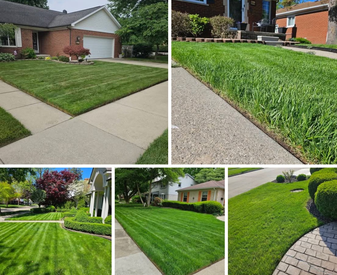 Will Andrews Lawn