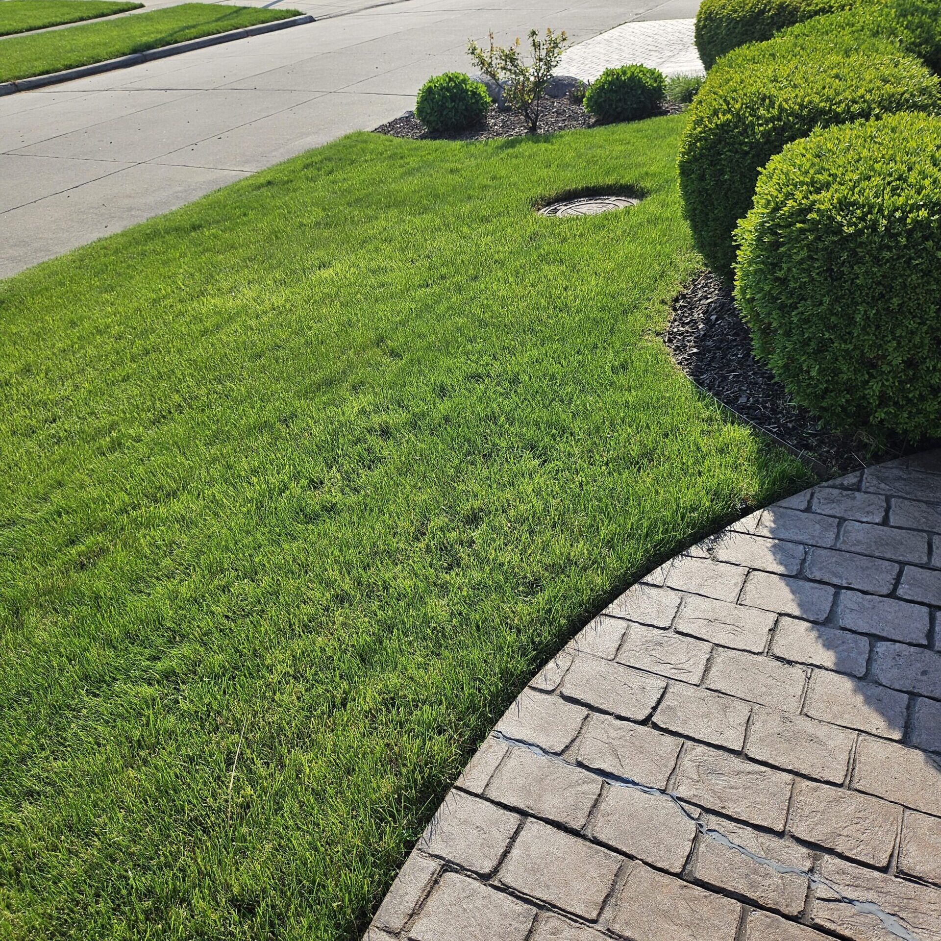 Will Andrews Lawncare