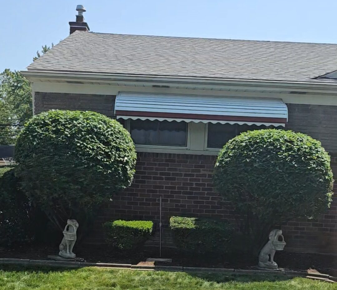 Will Andrews Shrub Shaping