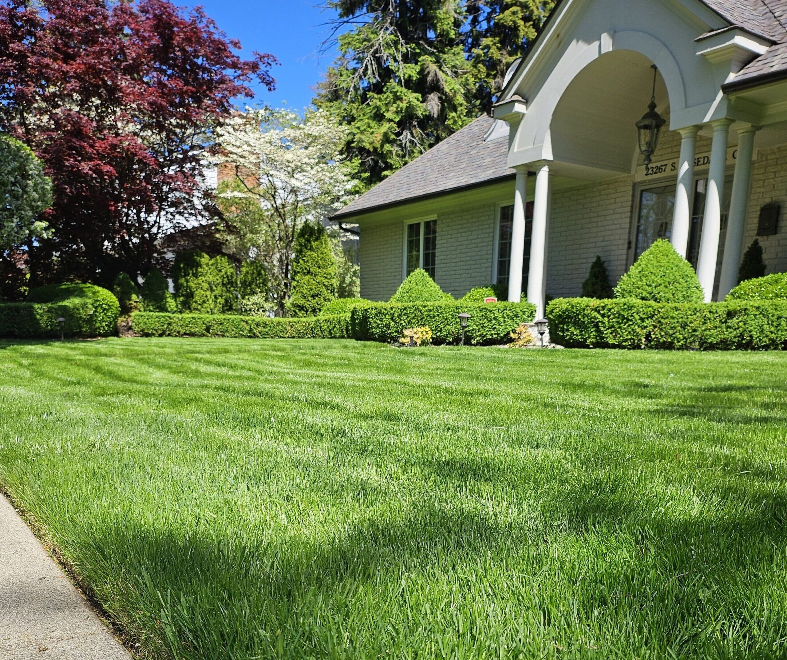 Will Andrews Weekly Lawncare Pic