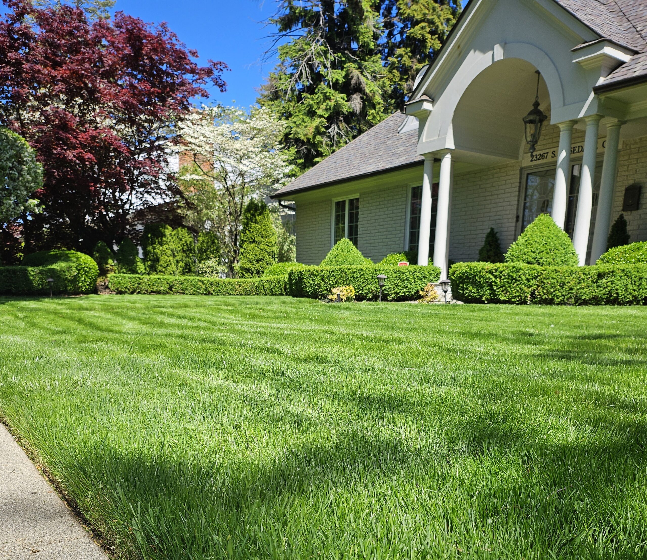 Will Andrews Weekly Lawncare Pic
